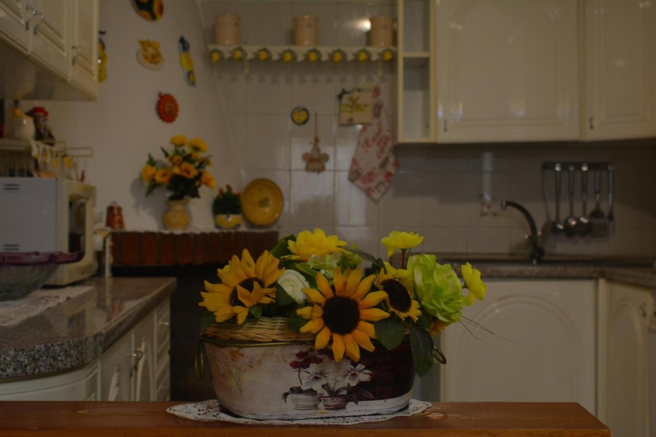 Casa Vacanze I Girasoli 伊格莱西亚斯 外观 照片